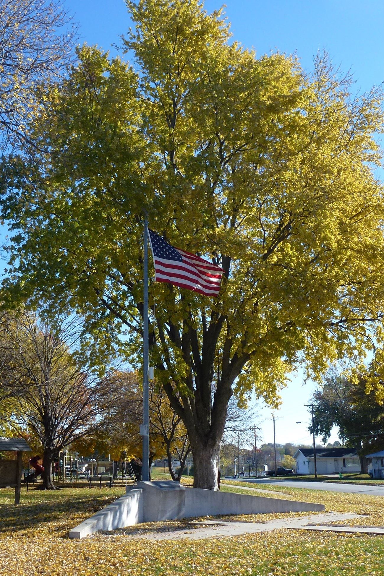 Petersen Park in the Fall