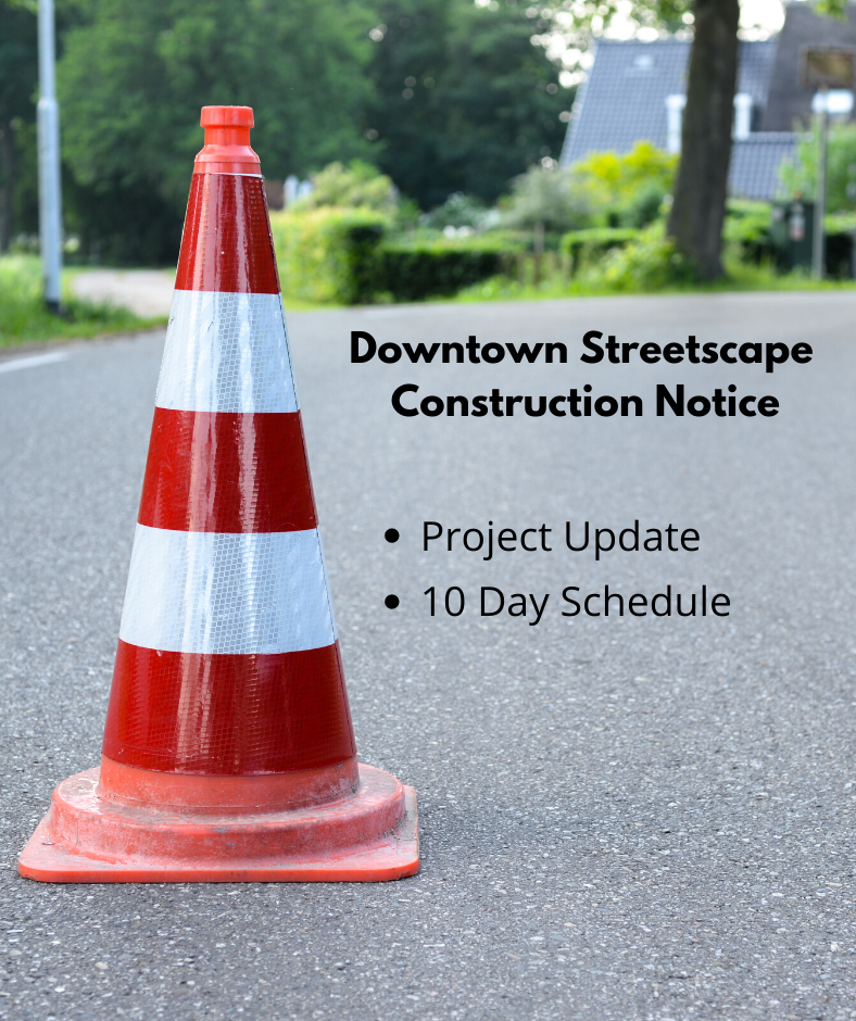 Website_  Downtown Streetscape 