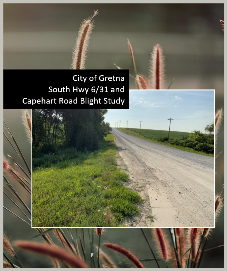 Website - Blight Study