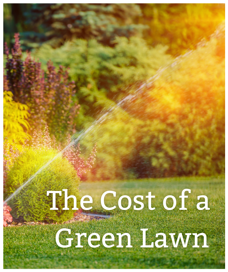 Website - Cost of Lawn