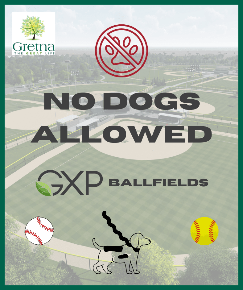 NO DOGS ALLOWED website